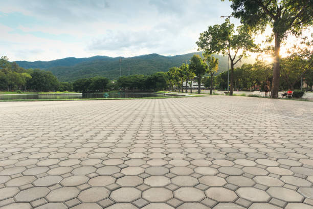 Best Local Driveway Pavers  in Mariposa, CA
